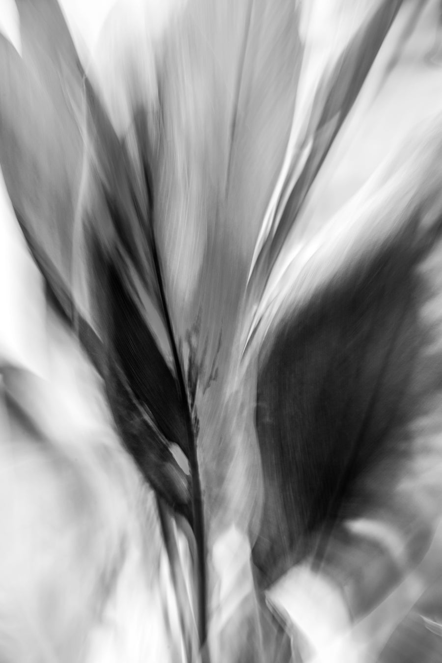 Abstract Ti
